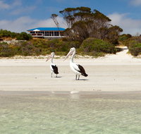 Kangaroo Island Star Beach House - Geraldton Accommodation