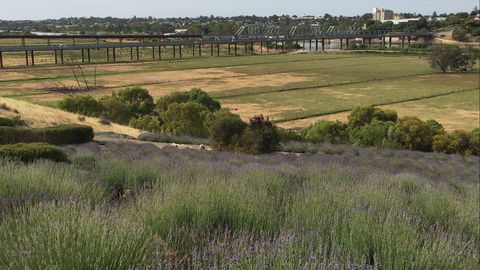 Brayfield Cottage - Geraldton Accommodation 0
