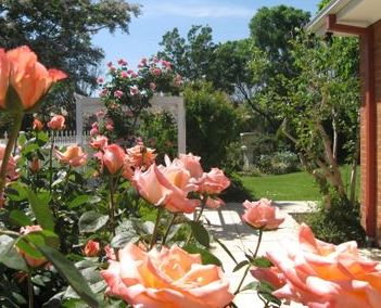 The Clarenton - Geraldton Accommodation 0