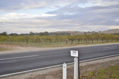 Almond Tree Cottage - Geraldton Accommodation 5