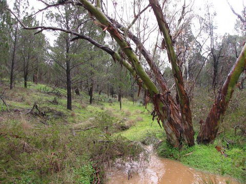 Beetaloo Grove - Geraldton Accommodation 2