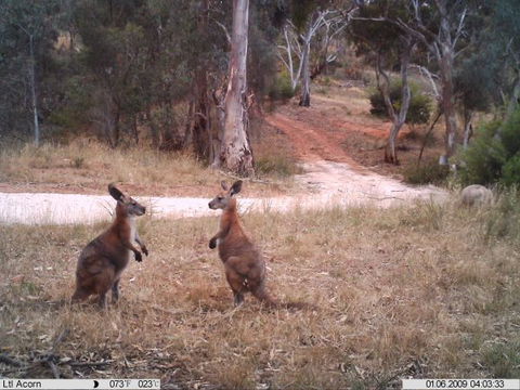Beetaloo Grove - Geraldton Accommodation 3