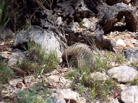 Beetaloo Grove - Geraldton Accommodation 4