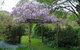 Brookfield Guesthouse - thumb 8