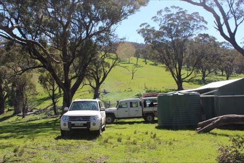 Catninga Mountain Camp Hut - Geraldton Accommodation 8