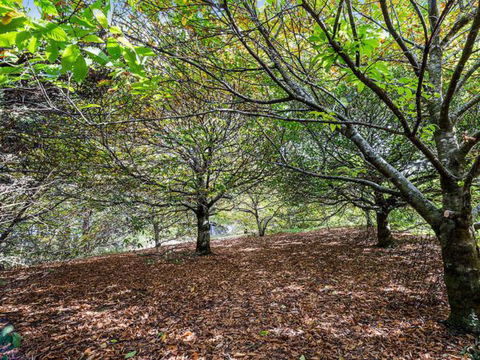 Cape Cottages - Geraldton Accommodation 4
