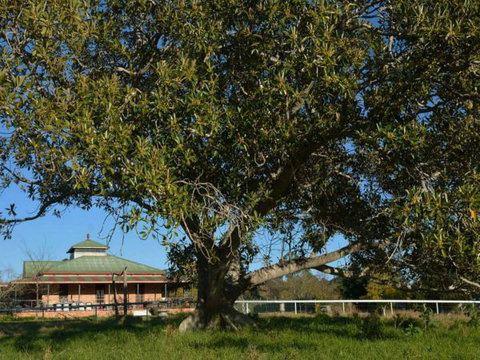 Cairnsmore Bed And Breakfast - Geraldton Accommodation 7