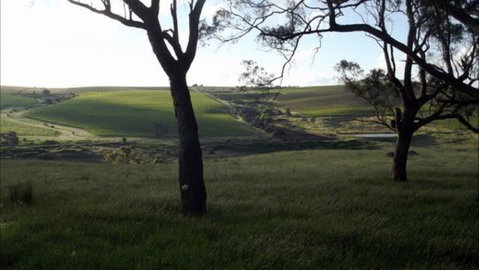 Dragonfly Cottages - Geraldton Accommodation 2