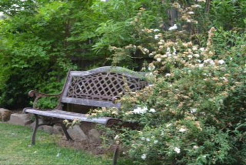 Garden Cottage B And B - Geraldton Accommodation 4