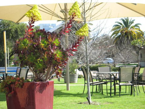 Golden Chain Wine Village Motor Inn - Geraldton Accommodation 3