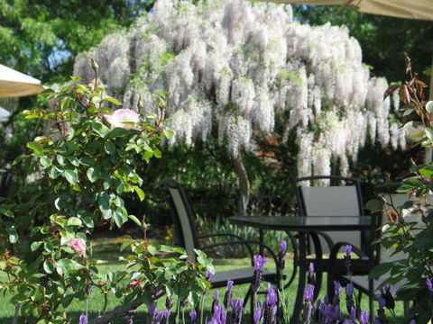 Golden Chain Wine Village Motor Inn - Geraldton Accommodation 5