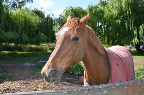 Hawthorn Lodge - Geraldton Accommodation 2