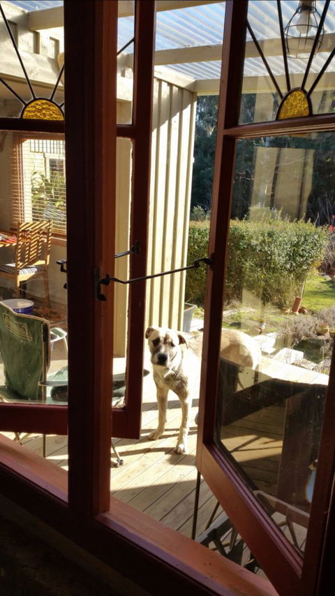 Mara Ponds Branxholm - Geraldton Accommodation 0