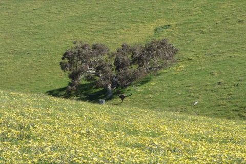 Morella Farm Stay - Geraldton Accommodation 9