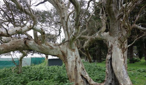 Morella Farm Stay - Geraldton Accommodation 10