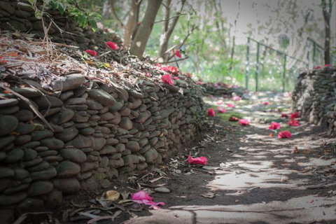 Mrs Simpson Cottage At Norala Garden - Geraldton Accommodation 6