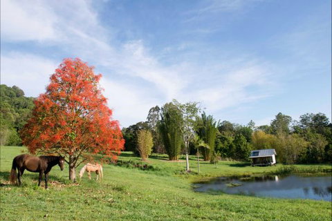 Nimbin Waterfall Retreat - Geraldton Accommodation 1