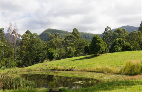 Nimbin Waterfall Retreat - Geraldton Accommodation 3