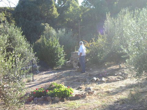 Olive Grove Retreat - Geraldton Accommodation 5