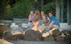 Paradise Country Farmstay - thumb 1