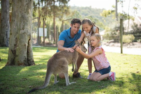 Paradise Country Farmstay - Geraldton Accommodation 7