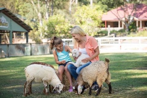 Paradise Country Farmstay - Geraldton Accommodation 9