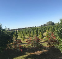 Rutherglen Christmas Trees Farm Stay - Geraldton Accommodation