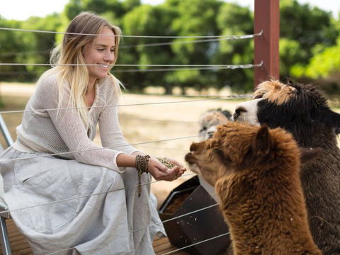 Samadhi Spa And Wellness Retreat - Geraldton Accommodation 7