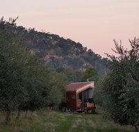 Shacky in the Olive Grove - Geraldton Accommodation