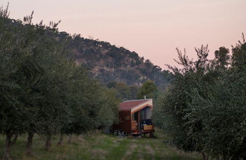 Shacky In The Olive Grove - Geraldton Accommodation 0