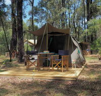 Tall Trees Camping on the Great Ocean Road - Geraldton Accommodation