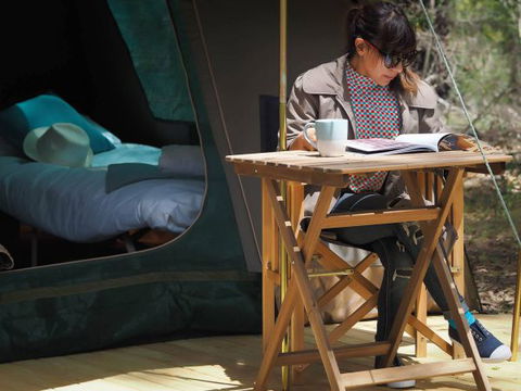 Tall Trees Camping On The Great Ocean Road - Geraldton Accommodation 1