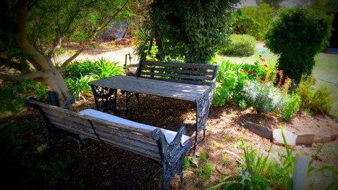 The Pig And Whistle - Geraldton Accommodation 1