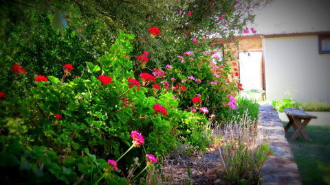 The Pig And Whistle - Geraldton Accommodation 4