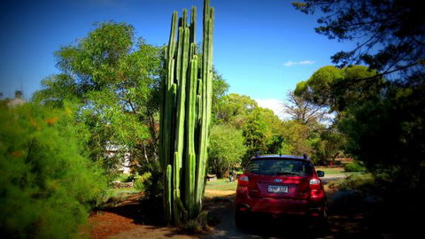 The Pig And Whistle - Geraldton Accommodation 6