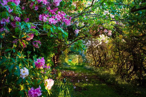 The Pear Walk - Geraldton Accommodation 0