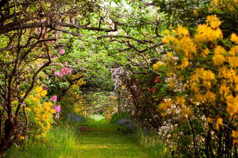 The Pear Walk - Geraldton Accommodation 4