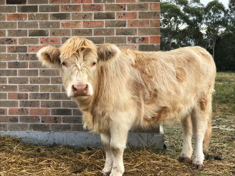 The Woods Farm - Geraldton Accommodation 2