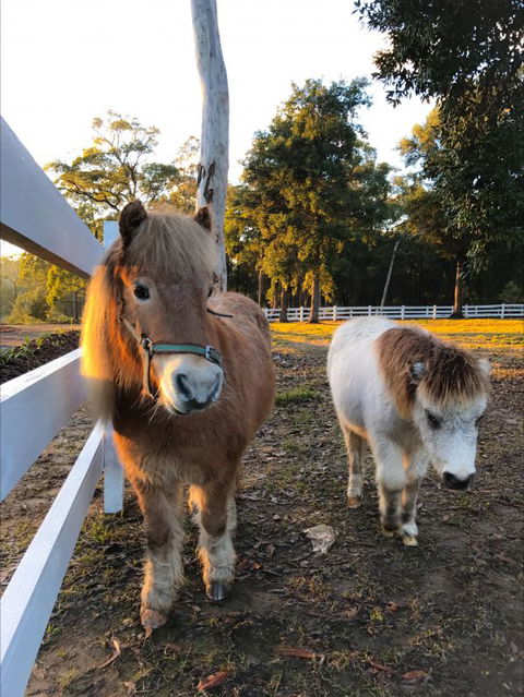 The Woods Farm - Geraldton Accommodation 3