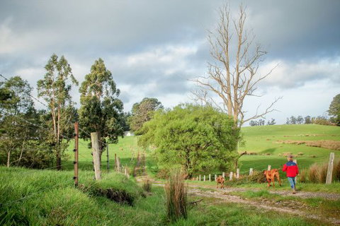 Wines For Joanie Cottage - Geraldton Accommodation 6