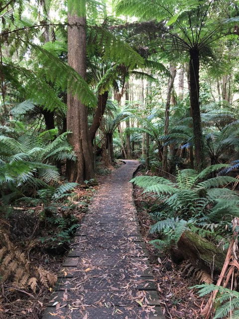 Woodland Mirth Holiday Retreat - Geraldton Accommodation 8