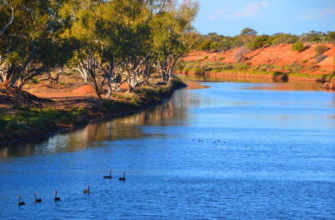 Murchison Oasis Roadhouse, Motel, Caravan Park - Geraldton Accommodation 2