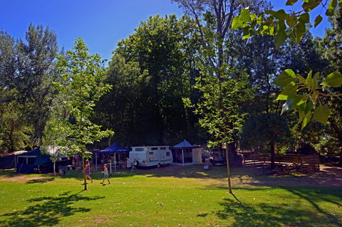 Ardern's Caravan Park Myrtleford - Geraldton Accommodation 0
