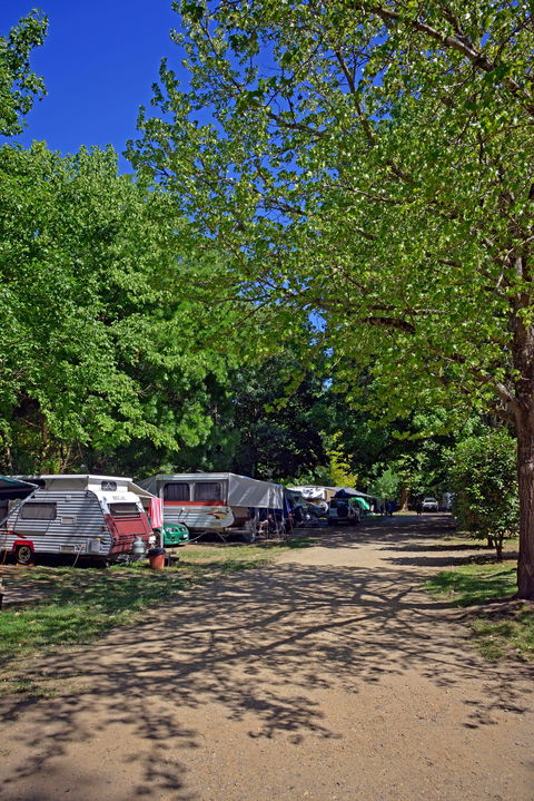 Ardern's Caravan Park Myrtleford - Geraldton Accommodation 1
