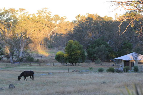 Boongarrie Luxury Tent - Geraldton Accommodation 7