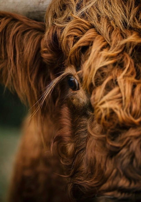 Eden Orchard And Farmstay - Geraldton Accommodation 1