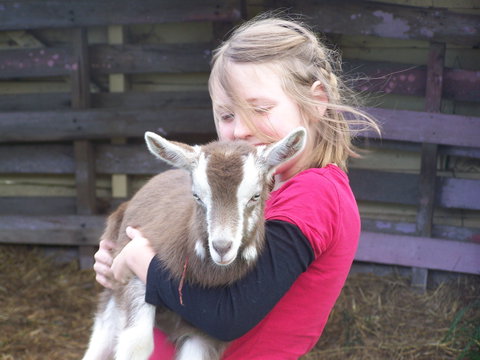 Eden Orchard And Farmstay - Geraldton Accommodation 3