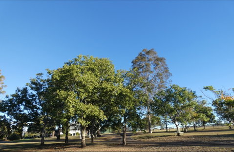 Forest Lodge Highfields - Geraldton Accommodation 6