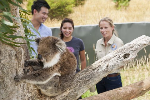 Great Ocean Ecolodge - Geraldton Accommodation 1