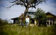 Great Ocean Ecolodge - thumb 2